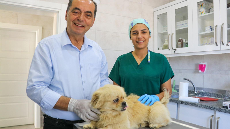 Belediyeden sahiplenme çağrısı