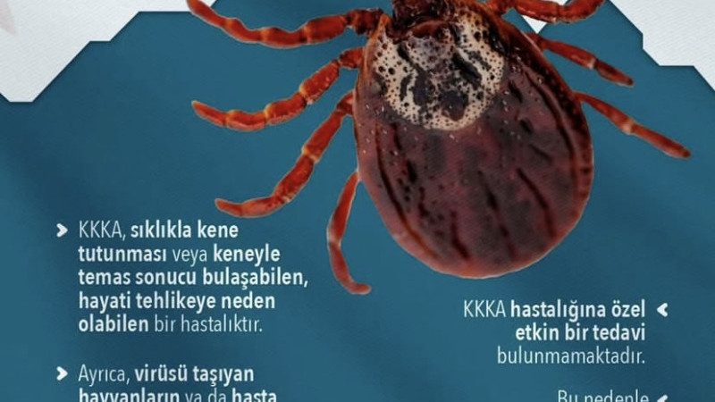 Kene uyarısı