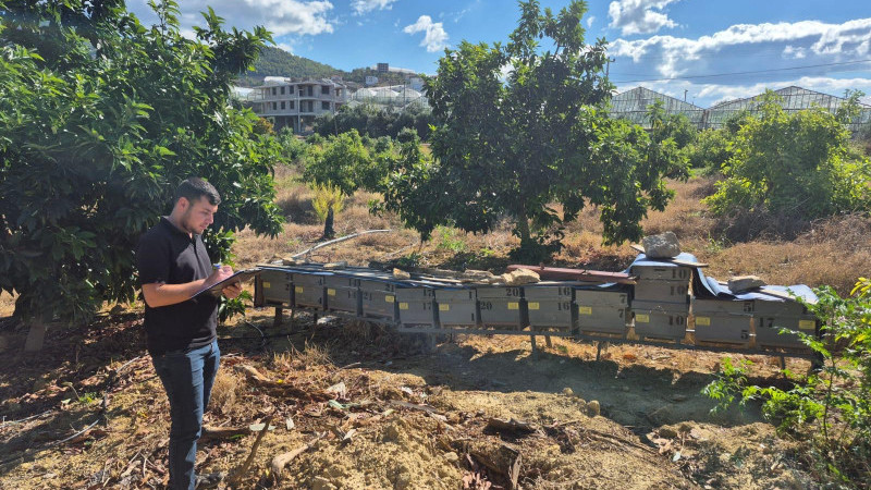 HAYVAN SAĞLIĞI İÇİN SAHADALAR