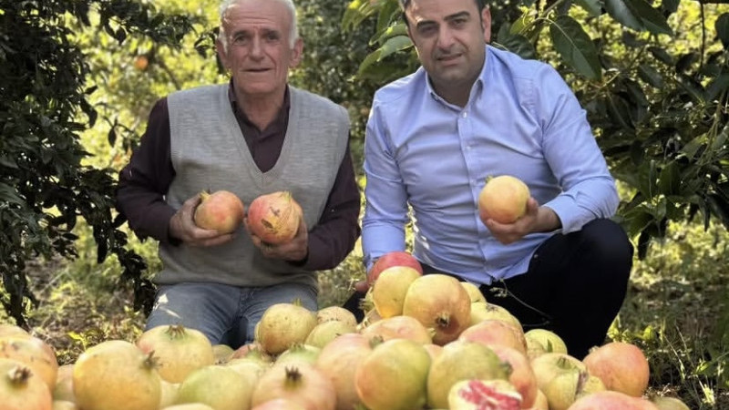 Kaymakam Korkutata’dan nar hasadı