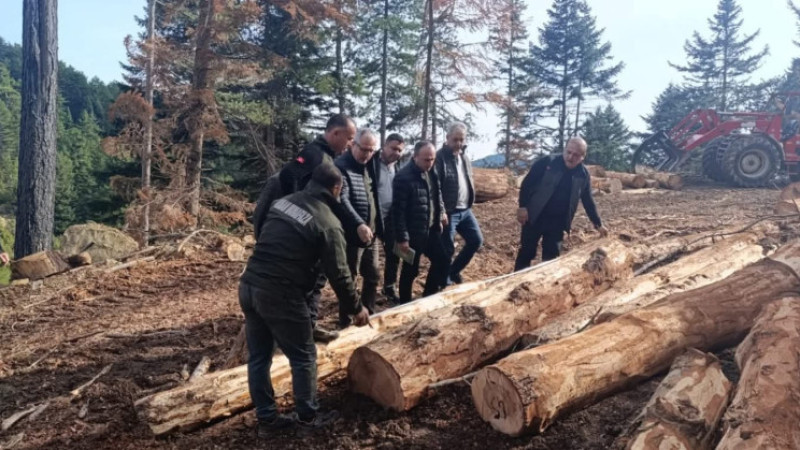 Doğanca yeniden canlanacak